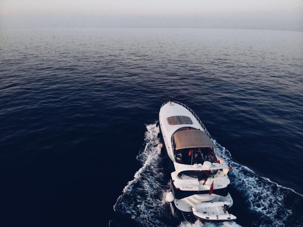 Mangusta 65f