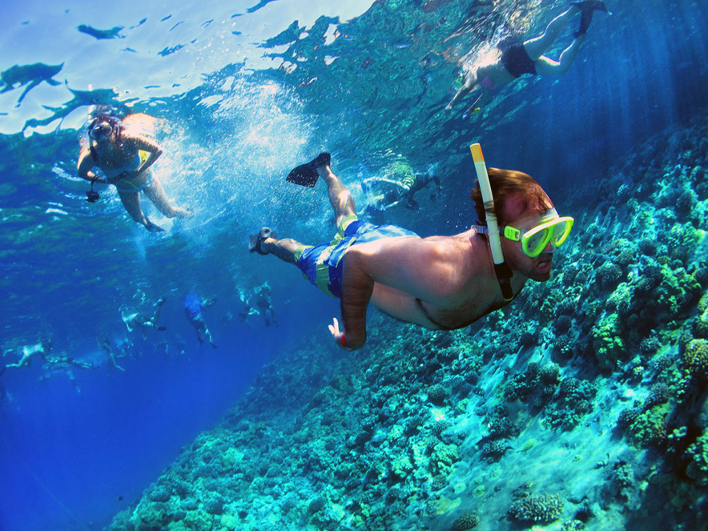 snorkel